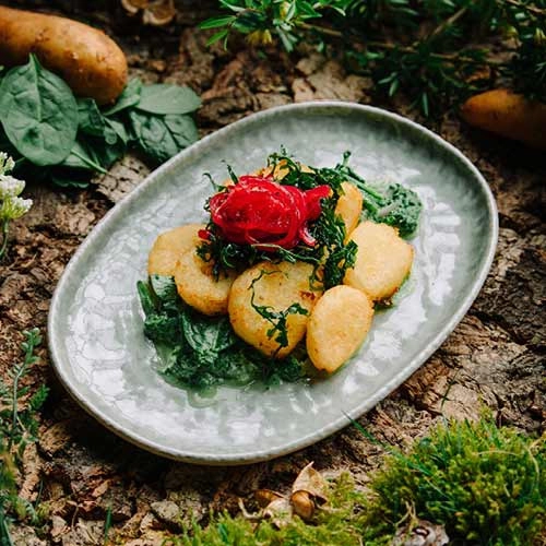 Ein gebratener Kloß mit Spinat, Ricotta und roten Zwiebeln ist eine köstliche Mischung - angerichtet auf einem hellgrünen Teller mitten auf einem Waldboden.